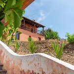 The Wave Whisper By Cypresses *