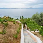 The Wave Whisper By Cypresses