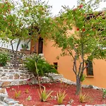 The Wave Whisper By Cypresses Nyaraló Vólosz