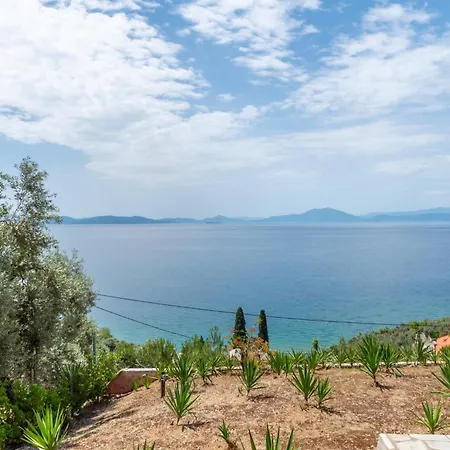 The Wave Whisper Wolos