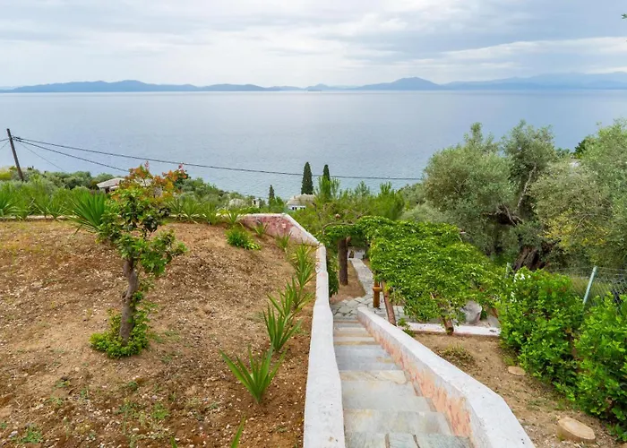 The Wave Whisper By Cypresses